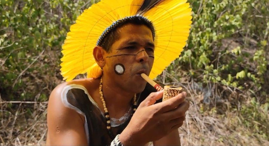 Bem-ti-vi do Peito Amarelo